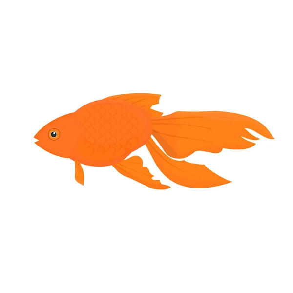 Goldfisch Schöne Fische Vektorillustration — Stockvektor