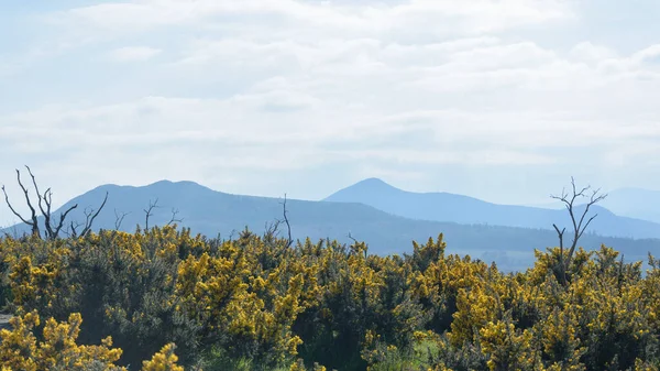 Landschappelijk Uitzicht Vanaf Top Van Bray Head County Wicklow Ierland — Stockfoto