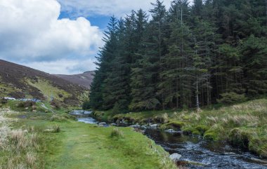 River Glenmacnass, Glenmacnass Şelalesi, Wicklow County, İrlanda
