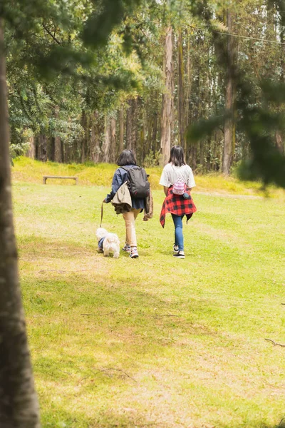 Arkadaşlar dışarıda tatil yapıyor..