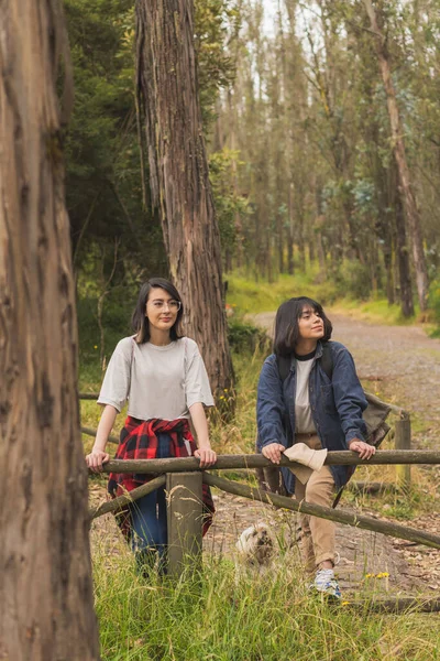 Arkadaşlar dışarıda tatil yapıyor..