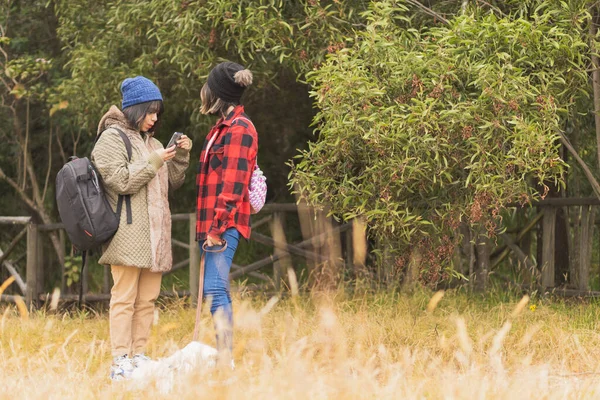 Arkadaşlar dışarıda tatil yapıyor..