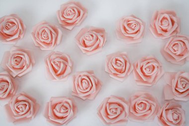 Beyaz izole bir arka planda birçok pembe gül. Metnin için bir yer var..