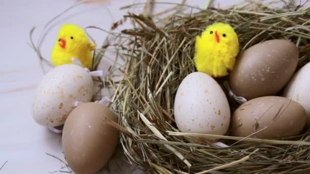 Easter Eggs Yellow Chickens Nest Hay Light Isolated Background Background — Stock Video