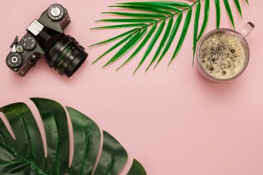 Bir kamera, bir fincan kahve ve bir palmiye yaprağı yazı için boş bir yer olan pembe bir arka planda yatıyor. Konsept - dinlenme, üst görünüm, düzen. Markalar kapatıldı.