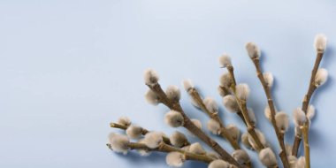 Paskalya için mavi izole edilmiş arka planda geniş afiş, söğüt dalları metnin için köşegende yer alır. Paskalya bayramı.