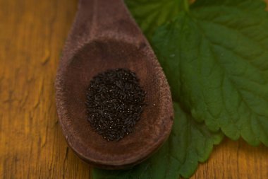 Bir kaşıkta organik nane tohumları sergileniyor.