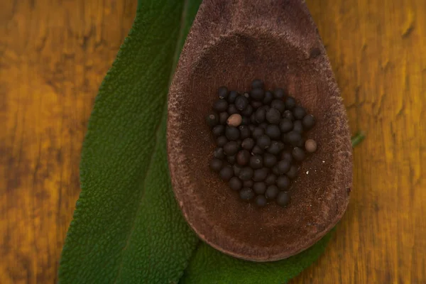 Bir kaşıkta organik karnabahar tohumları sergileniyor.