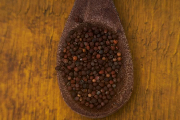 Bir kaşıkta organik lahana tohumları sergileniyor.