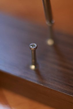 Tahtaya gömülmüş vida. Evde mobilya montajı. Marangozluk oturumu.