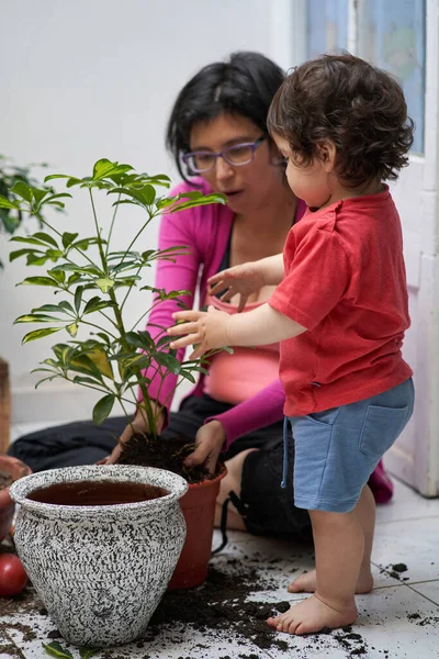 Anne bahçede oğlunun yanına bitki nakli yapıyor. Çocuklar için ekolojik eğitim. Bahçe oturumu.