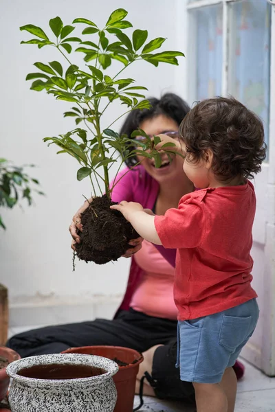 Anne ve oğlunun elinde Schefflera bitkisi var. Çocuklar için ekolojik eğitim. Bahçe oturumu