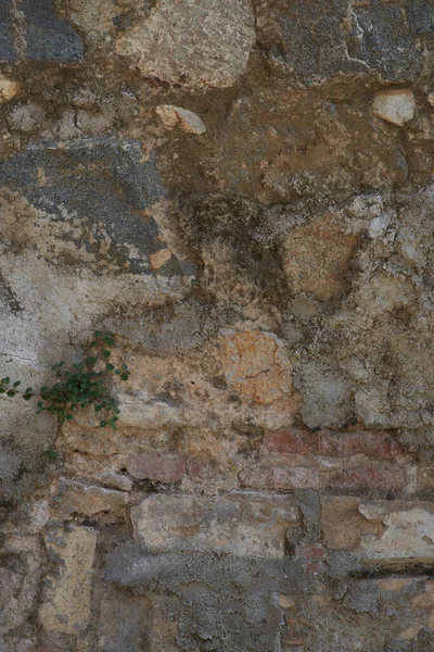 Eski beton duvar dokusu. Gri renk. Tasarımlar için dikey arkaplan