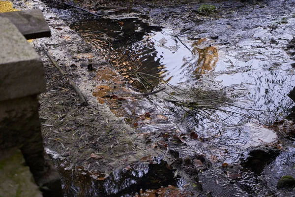 Su petrolle kirlenmiş. Çevre felaketi. İklim değişikliği. Ekoloji oturumu