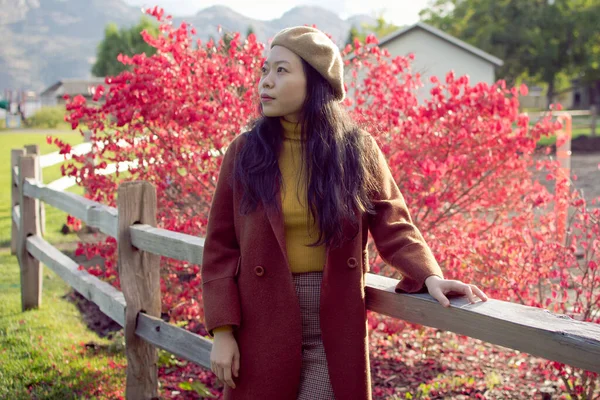 Sonbahar / Sonbahar Giysisi Giyen Genç Asyalı Kadın Çitle Yaslanıyor.