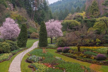 Victoria, BC, Kanada - 3 Nisan 2021: Batık Bahçe, Butchart Bahçeleri