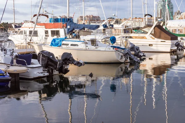 Victoria, BC, Canada - April 3, 2021: Otter in the water at Fisherman's Wharf in Victoria, BC, Canada