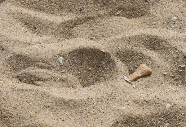 Sea Sand Texture Sand Area Beach — Stock Photo, Image