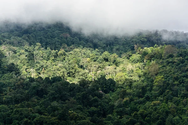 dağlar görünümü