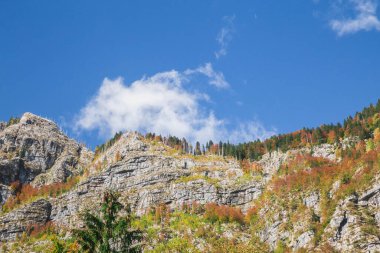 Sonbahar manzarası. Slovenya 'daki Alp Dağları 
