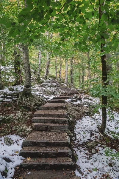 stone stairs in the forest high in the mountains