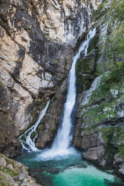 Bohinj Gölü yakınlarında Savica şelalesi. Slovenya, Avrupa.