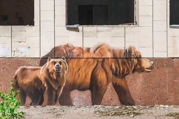 Pripyat Ukrajna Augusztus 2020 She Bear Her Cub Painted Abandoned — Stock Fotó