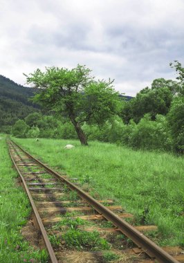Karpatlar 'daki antik dar ölçü demiryolu.