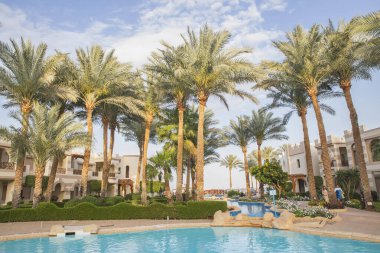 Sharm El Sheikh, Mısır, Mart 2020: Mısır 'da havuzlu ve palmiye ağaçlı lüks bahçe