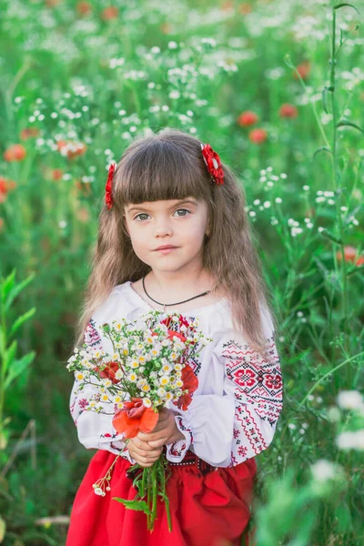 Criança Adorável Roupas Populares Ucranianas Campo Com Flores — Fotografia de Stock