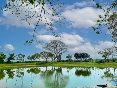 Sakin nehrin su yüzeyindeki bulutların inanılmaz yansıması.