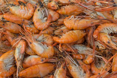 ızgara karides Market