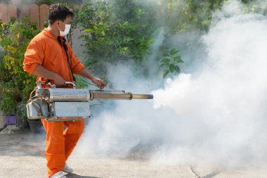 DDT spreyi öldürme sivrisinek sisleme