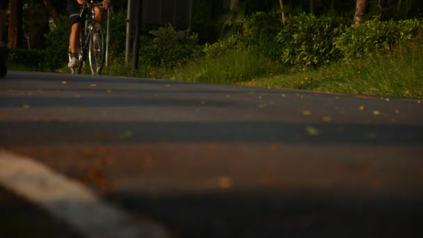 Muchas personas montan en bicicleta en el parque — Vídeo de stock