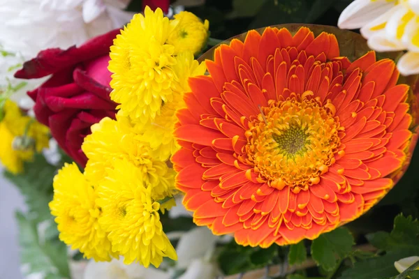 Flor cor laranja — Fotografia de Stock
