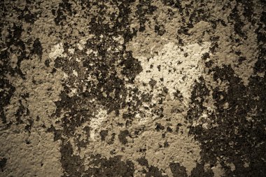 Duvar doku yüzey vintage tarzı ile Dünya Haritası