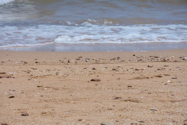 Beach and tropical sea Royalty Free Stock Photos