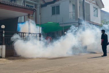DDT spreyi öldürme sivrisinek sisleme