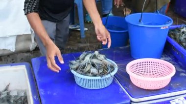 Tay street gıda pazarında karides