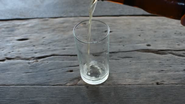 Verser la bière avec de la glace dans du verre — Video