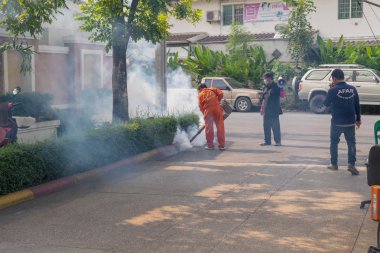 DDT spreyi öldürme sivrisinek sisleme