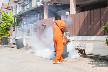 DDT spreyi öldürme sivrisinek sisleme