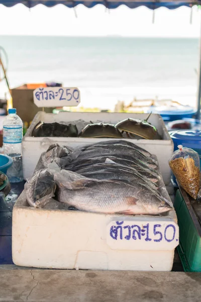 Mercado tailandês de frutos do mar — Fotografia de Stock