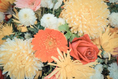 Güzel çiçek bir buket 