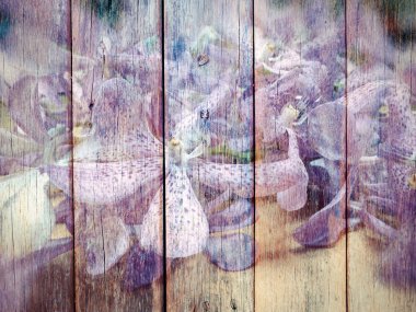 Ahşap doku üzerinde orkide çiçek