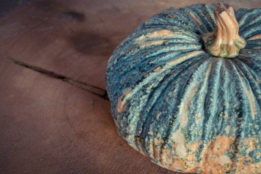 Tahta masadaki balkabağı