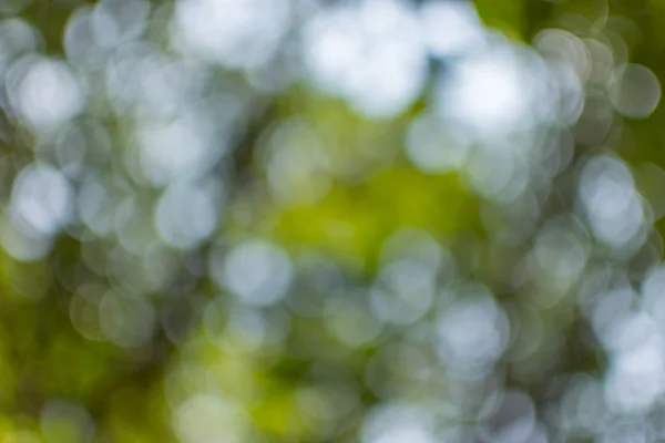 Abstrato natureza bokeh — Fotografia de Stock