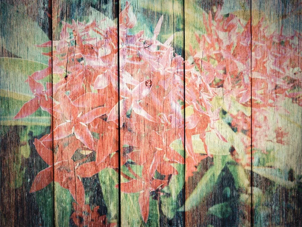 Ixora Fleur sur bois texture — Photo