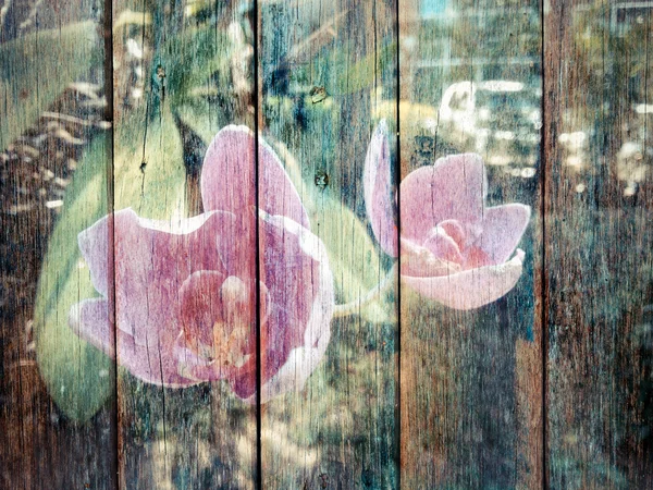 Flor de orquídea en textura de madera —  Fotos de Stock