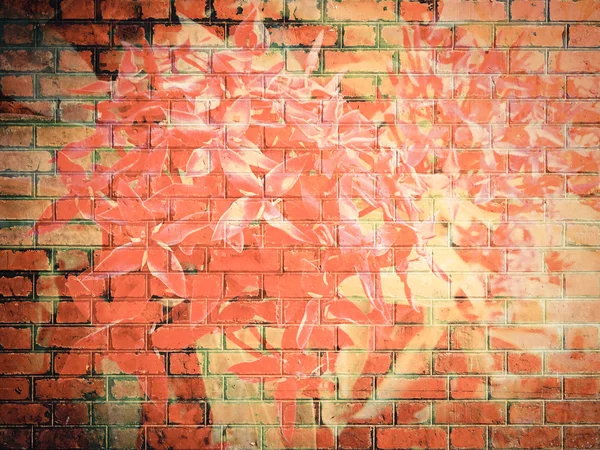Ixora flor en textura de pared de ladrillo rojo Imágenes de stock libres de derechos